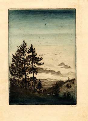 Landscape with fir trees